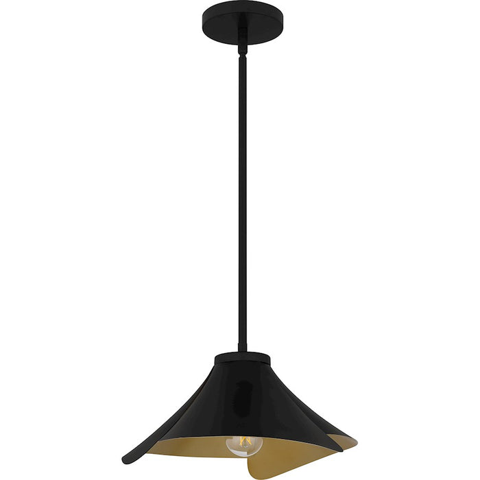 Quoizel Wisp 1 Light Pendant, Matte Black/Metal