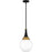 Quoizel Arlo 1 Light Pendant, Matte Black/Clear Opal Glass