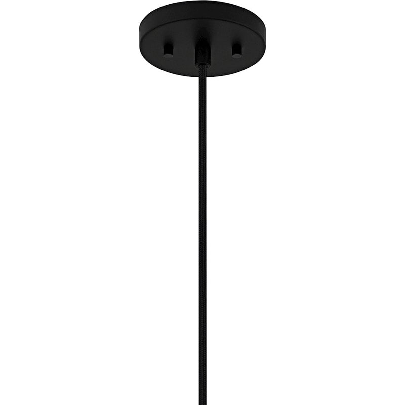 Quoizel Sycamore 4Light Pendant, Matte Black/Rattan