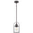 Quoizel Payson 1 Light 6" Mini Pendant, Western Bronze