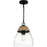 Quoizel Kingstide 1 Light Mini Pendant, Matte Black/Clear Seedy
