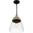 Quoizel Kingstide 1 Light Mini Pendant, Matte Black/Clear Seedy