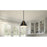 Quoizel Hyde 1 Light Mini Pendant, Matte Black/Metal