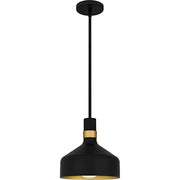 Quoizel Arbor 1Lt Mini Pendant, Black/Metal(mbk+brg+s85 Inside) - QPP6804MBK