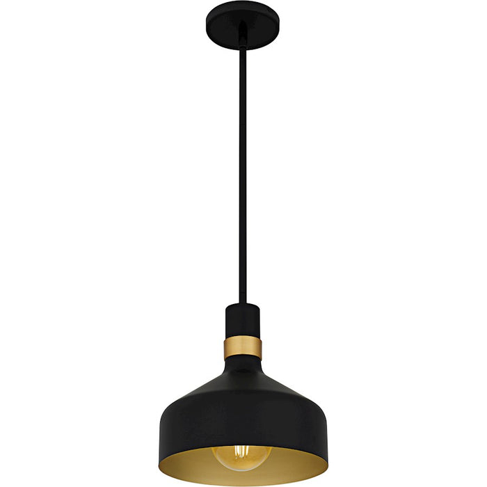 Quoizel Arbor 1Lt Mini Pendant, Black/Metal(mbk/brg/s85 Inside)