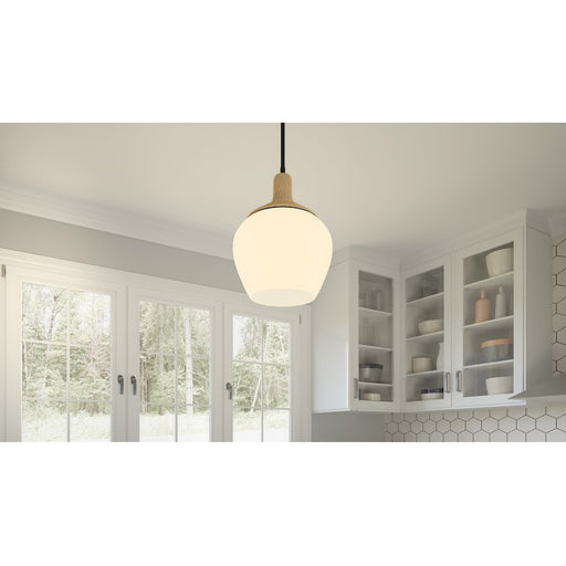 Quoizel Royer 1 Light Mini Pendant, Matte Black
