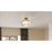 Quoizel Collinham 2 Light Semi-Flush Mount