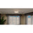 Quoizel Donahue 4 Light Semi-Flush Mount