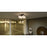 Quoizel Donahue 4 Light Semi-Flush Mount