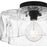 Quoizel Lilly 1 Light Semi-Flush Mount, Black/Clear Water Glass