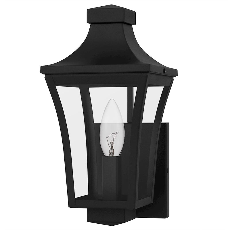 Quoizel Quentin 1Light Outdoor Lantern, Earth Black/Clear Glass