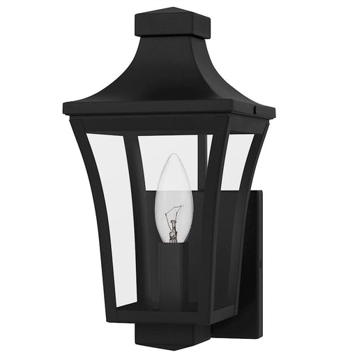 Quoizel Quentin 1Light Outdoor Lantern, Earth Black/Clear Glass