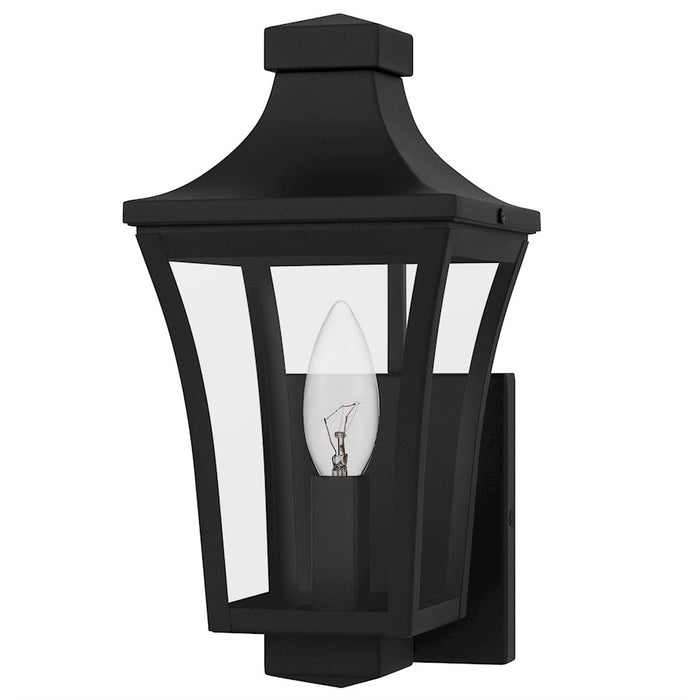 Quoizel Quentin 1Light Outdoor Lantern, Earth Black/Clear Glass