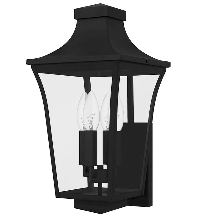 Quoizel Quentin 4Light 20" Outdoor Lantern, Earth Black/Clear Glass