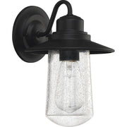Quoizel Radford 1 Light Medium Outdoor Lantern, Matte Black