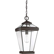 Quoizel Ravine 1 Lt 150W Outdoor Hanging Lantern, Lg, Western Bronze