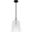 Quoizel Gray 1Lt Mini Pendant, Black/Clear Ribbed Sandblasted