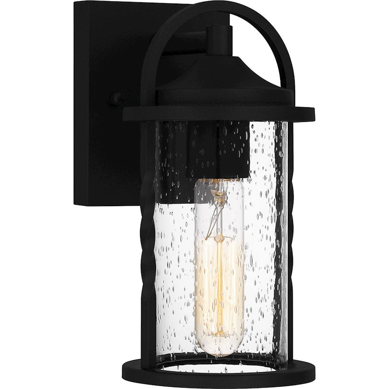Quoizel Reece 1 Light Outdoor Lantern, Earth Black/Clear Seedy