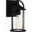 Quoizel Reece 1 Light Outdoor Lantern, Earth Black/Clear Seedy