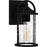Quoizel Reece 1 Light Outdoor Lantern, Earth Black/Clear Seedy