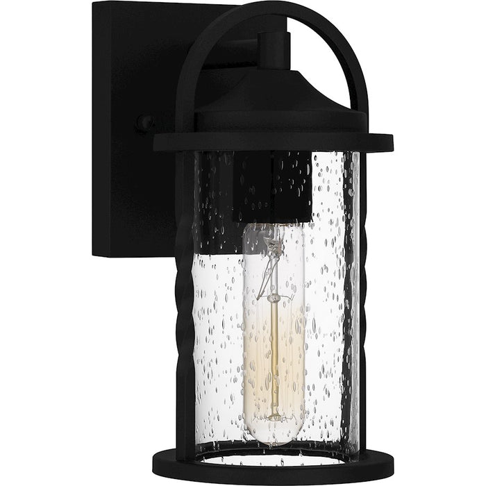 Quoizel Reece 1 Light Outdoor Lantern, Earth Black/Clear Seedy