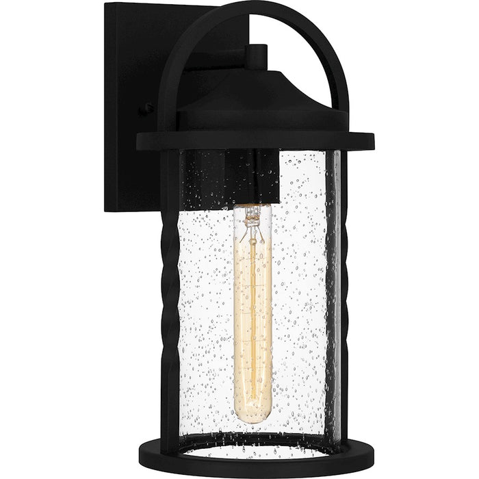 Quoizel Reece 1 Light Outdoor Lantern, Earth Black/Clear Seedy