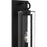 Quoizel Redan 1Lt 18" Outdoor Lantern, Stone Black/Clear Seedy