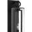 Quoizel Redan 1Lt 22" Outdoor Lantern, Stone Black/Clear Seedy