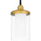 Quoizel Rowland 1 Light Mini Pendant, Matte Black/Clear/Sandblasted