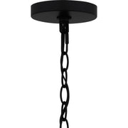 Quoizel Strader 10in 1-Light Outdoor Hanging Lantern | Farmhouse Matte Black and Clear Seedy Glass | Front Porch & Covered Patio | Model SAD1909MBK