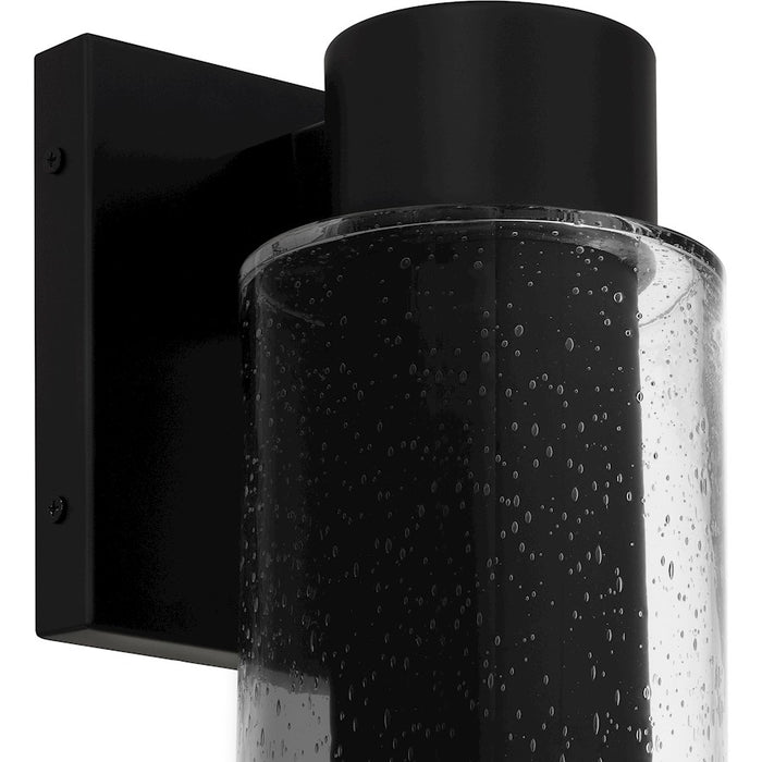Quoizel Sawyer 1Lt 10" Outdoor Lantern, Black/Clear Seedy