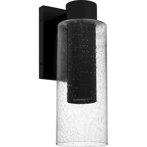 Quoizel Sawyer 1Lt 15" Outdoor Lantern, Black/Clear Seedy