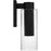 Quoizel Sawyer 1Lt 15" Outdoor Lantern, Black/Clear Seedy