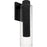 Quoizel Sawyer 1Lt 20" Outdoor Lantern, Black/Clear Seedy