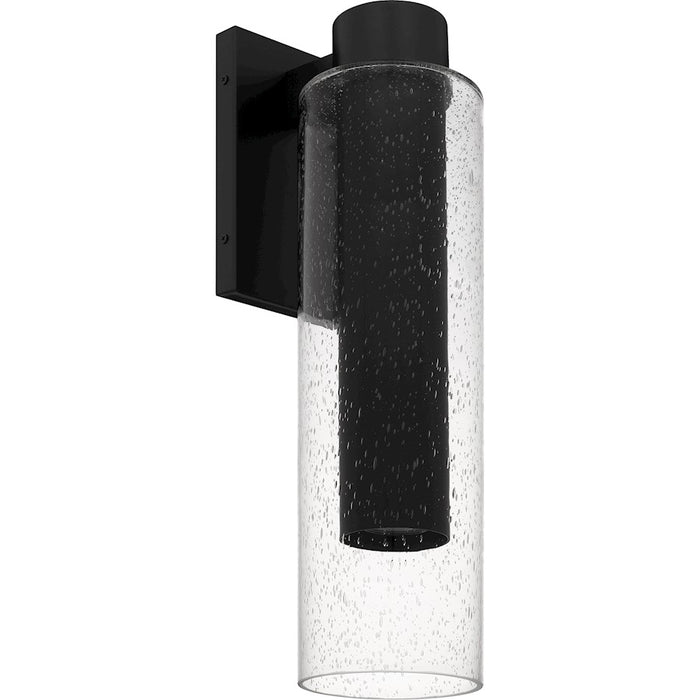 Quoizel Sawyer 1Lt 20" Outdoor Lantern, Black/Clear Seedy