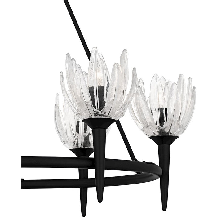 Quoizel Shea 6Light Chandelier, Matte Black/Glass