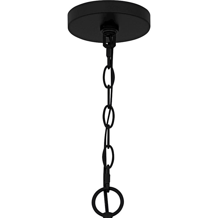 Quoizel Shea 6Light Chandelier, Matte Black/Glass