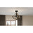 Quoizel Shire 4 Light Fandelier, Rustic Black