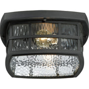 Quoizel Stonington 12in 2-Light Outdoor Lantern | Coastal Mystic Black and Clear Water Glass | Porch & Patio | 12 x 12 x 5.75 in | Model SNN1612K