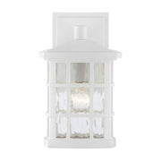 Quoizel Stonington 10in 1-Light Outdoor Wall Lantern | Traditional Matte White and Clear Water Glass | Entryway & Porch | Model SNN8406W