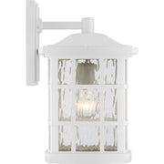 Quoizel Stonington 10.5in 1-Light Outdoor Wall Lantern | Traditional Matte White and Clear Water Glass | Front Porch & Entryway | Model SNN8409W