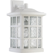 Quoizel Stonington 12in 1-Light Outdoor Wall Lantern | Traditional Matte White and Clear Water Glass | Front Porch & Entryway | Model SNN8411W