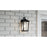 Quoizel Stoneleigh 1 Light Outdoor Lantern, Mottled Black/Seed