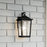 Quoizel Stoneleigh 1 Light Outdoor Lantern, Mottled Black/Seed