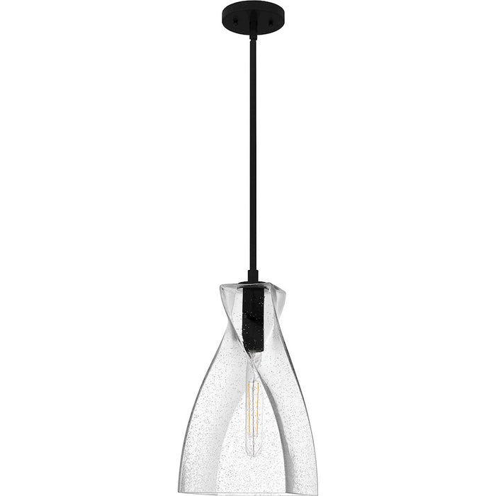 Quoizel Stetson 1 Light 16" Mini Pendant, Black/Clear Seedy Glass