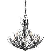 Quoizel Thornhill 26in 6-Light Chandelier | Nature-Inspired Marcado Black Steel | Dining Room & Foyer | 26 x 26 x 26.75 in | Model THL5006MK