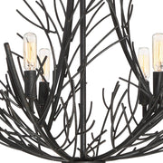 Quoizel Thornhill 26in 6-Light Chandelier | Nature-Inspired Marcado Black Steel | Dining Room & Foyer | 26 x 26 x 26.75 in | Model THL5006MK