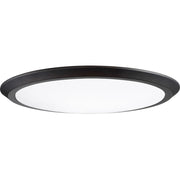 Quoizel 20" Verge Flush Mount, Oil Rubbed Bronze