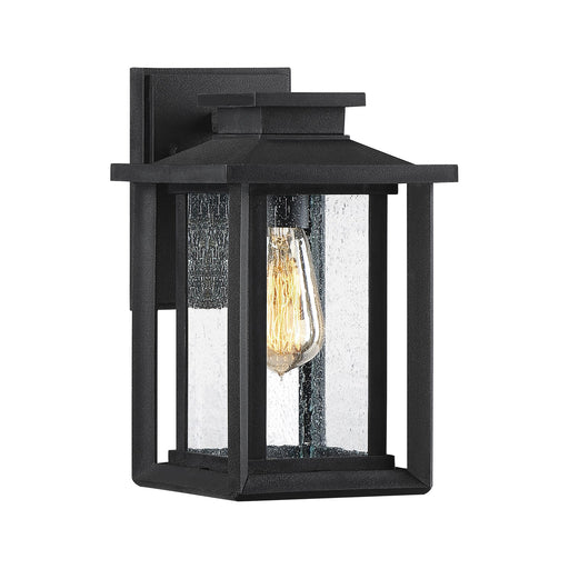 Quoizel Wakefield 11in 1-Light Outdoor Wall Lantern | Coastal Earth Black and Clear Seedy Glass | Porch & Entryway | Model WKF8407EK