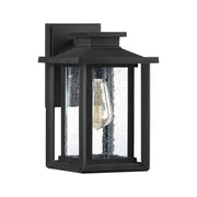 Quoizel Wakefield 11in 1-Light Outdoor Wall Lantern | Coastal Earth Black and Clear Seedy Glass | Porch & Entryway | Model WKF8407EK